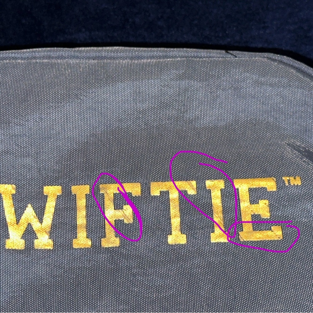 Taylor Swift Swiftie Fanny Pack - image 8